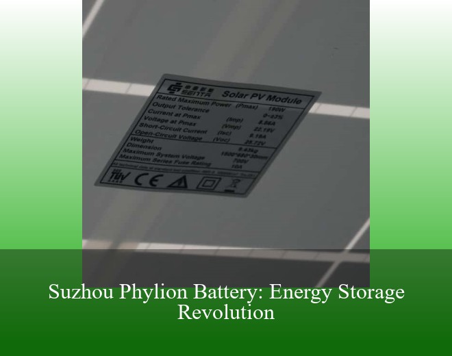 Suzhou Phylion Battery: Energy Storage Revolution